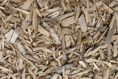 biomass boilers Staplers